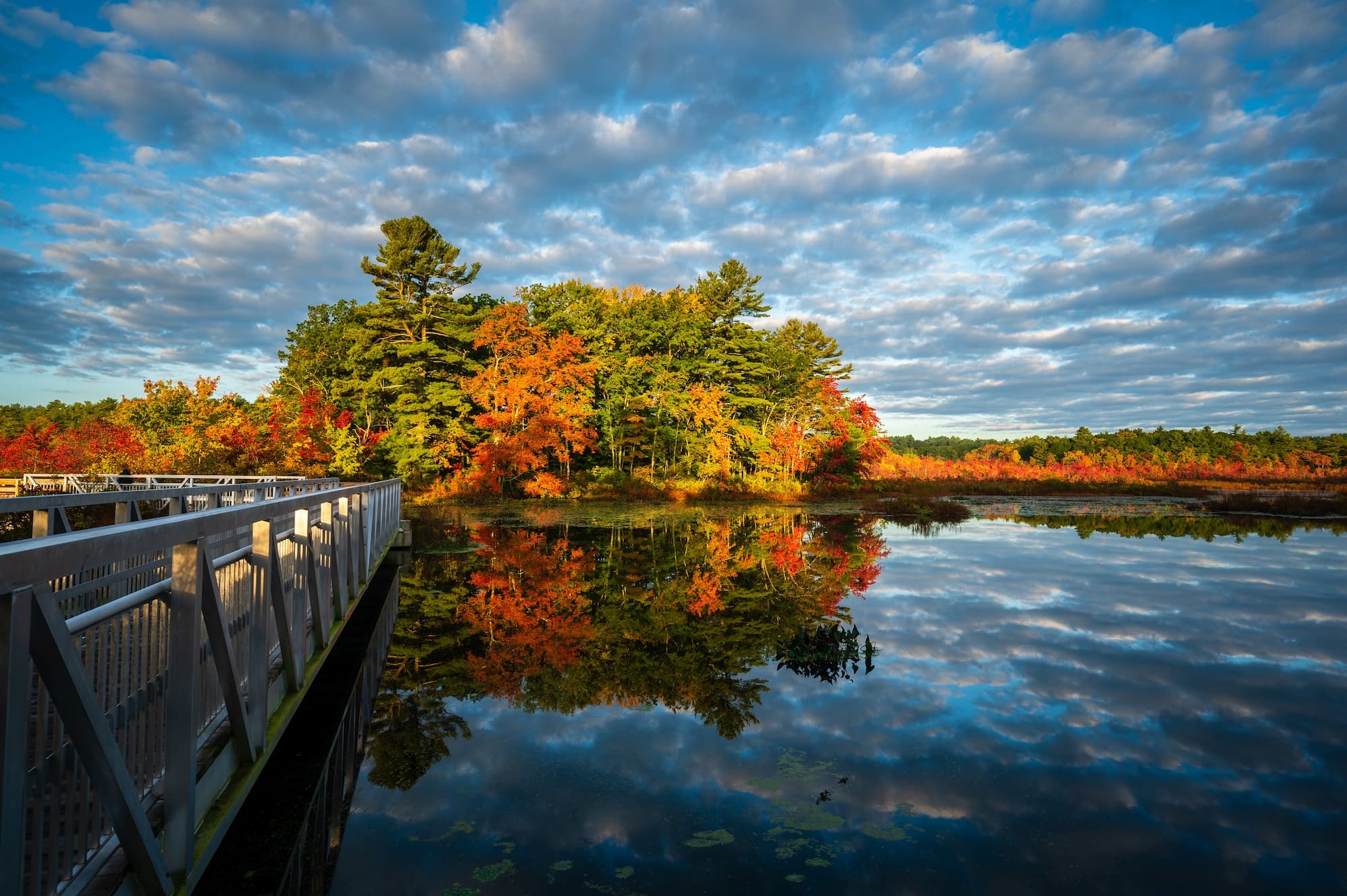 Stony Brook morning, Norfolk, MA