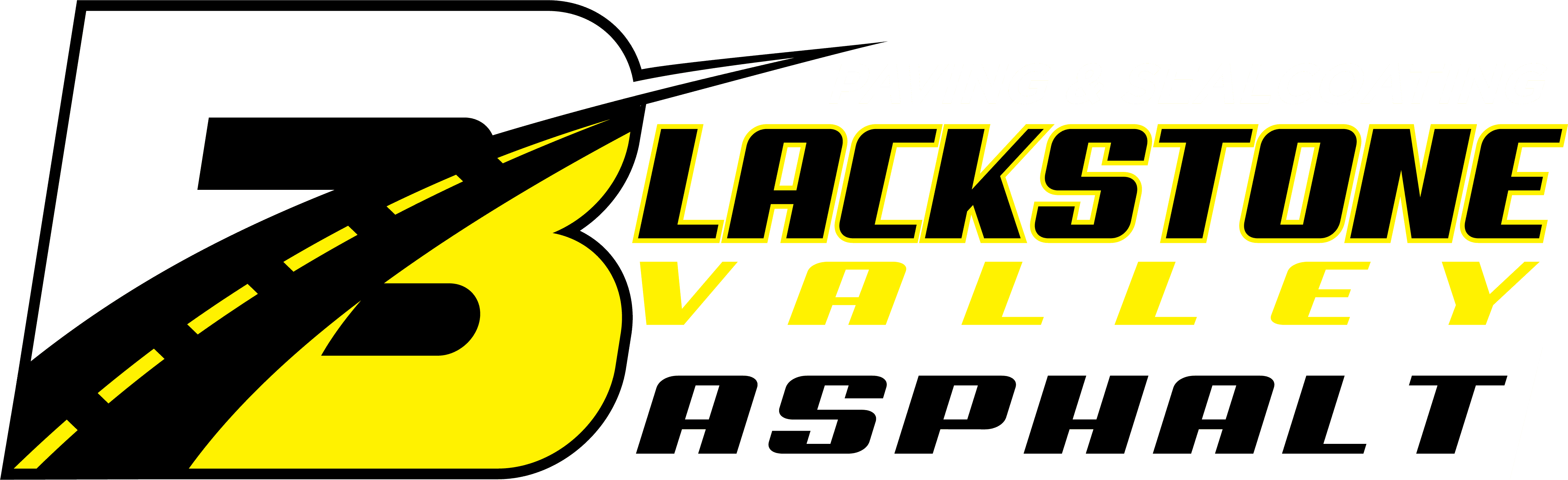 BVAS Logo